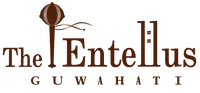 Entellus Logo